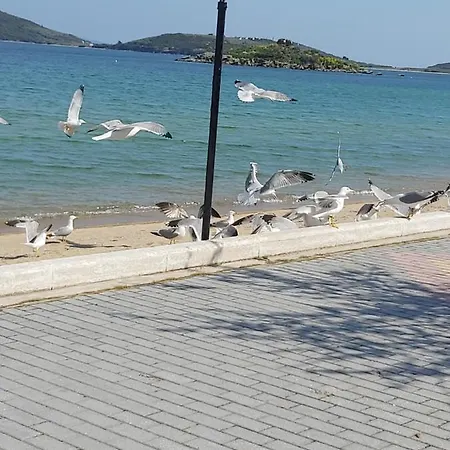 Lina * Nea Peramos (Macedonia)